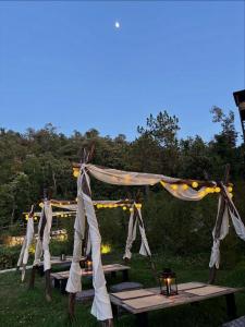 um grupo de mesas de piquenique num campo com luzes em The Wild Sakura em Mukteswar