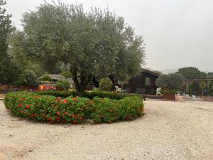 a bush of flowers with a tree and a house at FINCA ALMAZARA in San Pablo