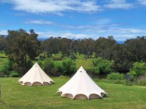two tents sitting in the grass in a field at Bimbimbi Experiences 