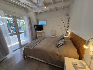 een slaapkamer met een bed, een tv en een raam bij Medanos in Las Gaviotas