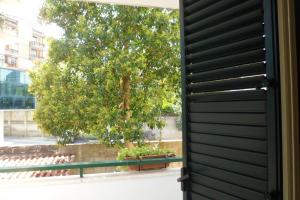 a window with a black shutter next to a tree at Albergo Miramonte in Vibo Valentia