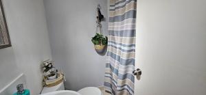 a bathroom with a toilet and a shower curtain with a plant at Buen descanso cómodo y acogedor en Machali con Parcking y WIFI in Machalí