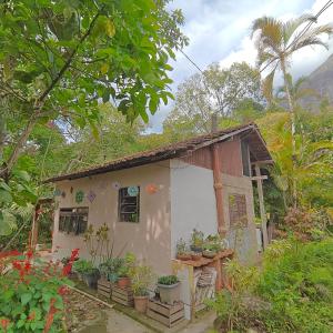 ノバ・フリブルゴにあるGlamping SixtyNine Hundredの鉢植えの小屋