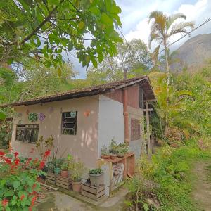 ノバ・フリブルゴにあるGlamping SixtyNine Hundredの鉢植えの小屋