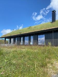 Příroda nedaleko prázdninového domu