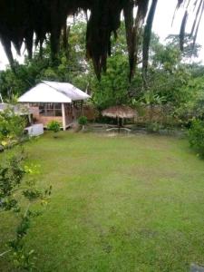 een tuin met twee paraplu's in het gras bij Emerald forest apartment in Iquitos +5 foto's
