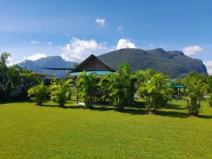 Příroda nedaleko hotelu