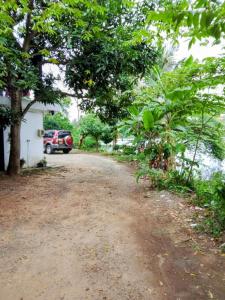 Φυσικό τοπίο κοντά σε αυτός ο ξενώνας +9 φωτογραφίες