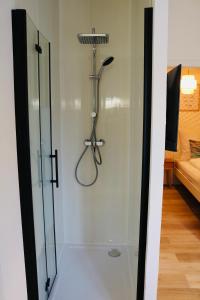 a shower with a glass door in a room at Central Apartment Nördlingen in Nördlingen