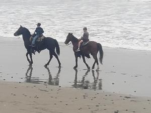 Zvířata v prázdninového domu nebo okolí + 8 fotografií