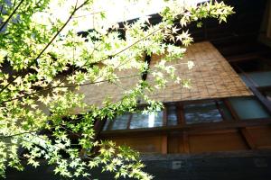 a tree branch with white flowers in front of a house at Ryokan Tori in Kyoto