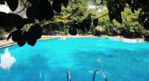 a large blue swimming pool with trees in the background at Tiantai Hotel in Tiantai