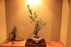 Fotografie z fotogalerie ubytování Hotel New Kotobuki v destinaci Macumoto