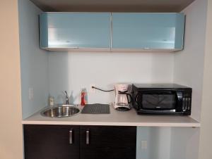 Η κουζίνα ή μικρή κουζίνα στο 2-Room Suite in South Edmonton