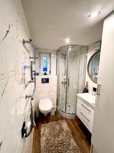 een badkamer met een douche, een toilet en een wastafel bij Pas Milėją 