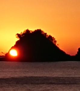 a sunset over the ocean with a tree in the foreground at 一日一組の宿ひめ in Kushimoto
