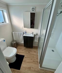 a bathroom with a toilet and a sink and a shower at Casa Carterton in Carterton
