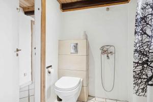 een badkamer met toilet en douche bij Country Stay In Cosy Farmhouse With Horses in Bøvlingbjerg +19 foto's