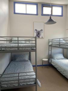 une chambre avec trois lits superposés et une fenêtre dans l'établissement The Songbird, à Evergreen