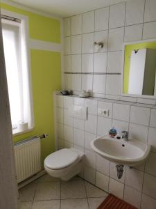 a bathroom with a toilet and a sink at Kleine Ferienwohnung In Freital Bei Dresden in Freital