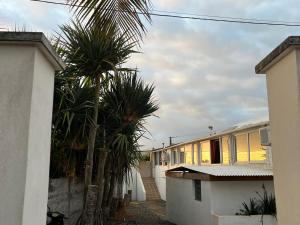 a building with palm trees in front of it at Beach Studio 24h24 & 7j7 in Petite Île +4 photos