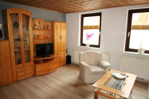 a living room with a chair and a television at Mönch in Harztor