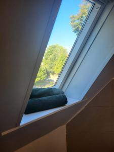 Φωτογραφία από το άλμπουμ του Gemütliche Wohnung mit großer Dachterrasse σε Röhrsen +10 φωτογραφίες