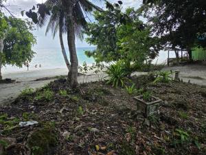 un albero sulla spiaggia con l'oceano sullo sfondo di Amara Resort - Sunset Suite a Ohoililir