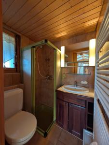 Koupelna v ubytování Appt de charme dans chalet - liberté & nature + 7 fotografií