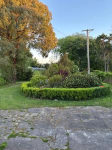 un jardín con una hilera de arbustos y un poste en Peaceful private and semi rural, en Marton