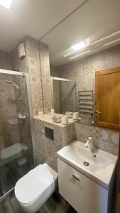 a bathroom with a toilet and a sink and a shower at Laimes kopa Pervalka in Pervalka