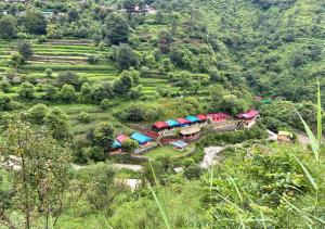 Příroda nedaleko luxury tent