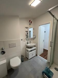 a bathroom with a toilet and a sink and a mirror at Apartments Königstein im Taunus in Königstein im Taunus