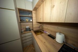 Kuchyň nebo kuchyňský kout v ubytování Studio Luxury Promenada + 15 fotografií