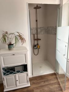 ein Badezimmer mit einem weißen Schrank und einer Dusche in der Unterkunft domaine de la chapelliere 32 pers in Crouy-sur-Cosson + 57 Fotos