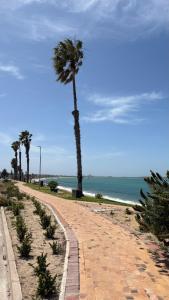 a palm tree on a brick road next to the ocean at The Palm Tree in Saldanha