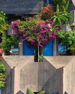 Zahrada ubytování Apalagi Villas