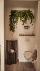 a bathroom with a toilet and plants on the wall at Le Chai des Poilanes in Liré +36 photos