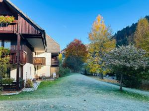 a dirt road next to a house with trees at Ferienhaus Albmatte-Naturidyll am Fluss-Novemberaktion-Sauna inklusive in St. Blasien +51 photos