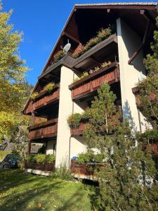a building with potted plants on the balconies at Ferienhaus Albmatte-Naturidyll am Fluss-Novemberaktion-Sauna inklusive in St. Blasien