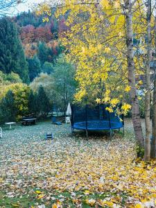 a playground in a park with leaves on the ground at Ferienhaus Albmatte-Naturidyll am Fluss-Novemberaktion-Sauna inklusive in St. Blasien