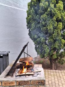 a fire pit next to a tree and water at Serengeti Heide Self Catering Flats in Cape Town
