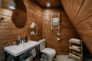 une salle de bain avec des murs en bois et des toilettes et un lavabo dans l'établissement УЛІС Ворохта, à Ilʼtsya Gurny