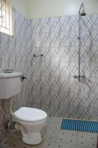 a bathroom with a toilet and a shower at Go Culture Africa in Entebbe
