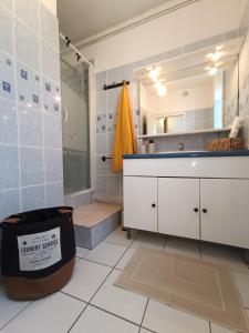 ein Badezimmer mit Waschbecken und Dusche in der Unterkunft La grande maison berrichonne in Aigurande + 40 Fotos