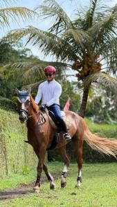 a woman riding on a horse in the grass at Wana Ayu Jelijih Villas in Tampaksiring