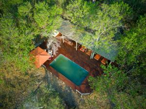 Bazén v ubytování Amber River Camp nebo v jeho okolí + 56 fotografií