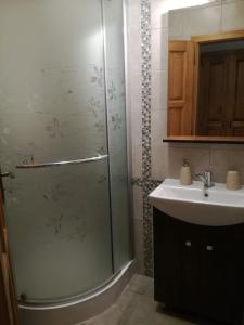 ブロウモフにあるUbytovani na hradbachのシャワーと洗面台付きのバスルーム
