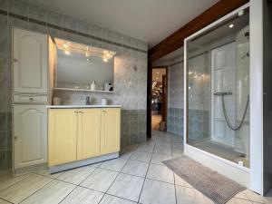 a bathroom with a shower and a sink at Grand Triplex 140m2 dans les Vosges in La Celle-sous-Gouzon