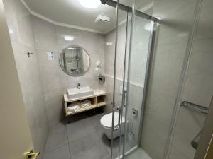 a bathroom with a shower and a toilet and a sink at LH Hotel Golden Wheel in Prague